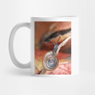 Tiny snail Mug